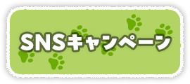 SNSキャンペーン
