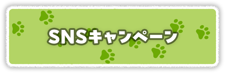 SNSキャンペーン