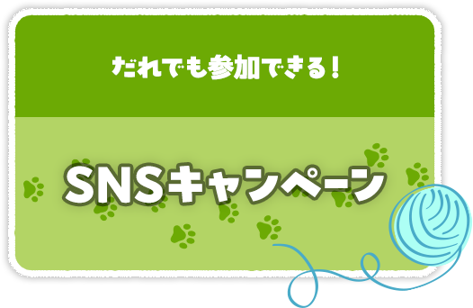 SNSキャンペーン