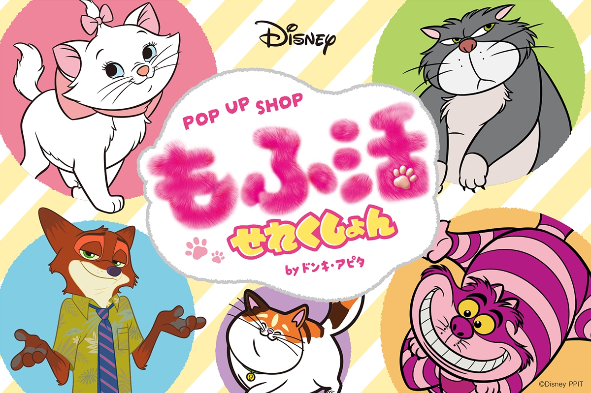 POP UP SHOP もふ活せれくしょん byドンキ・アピタ