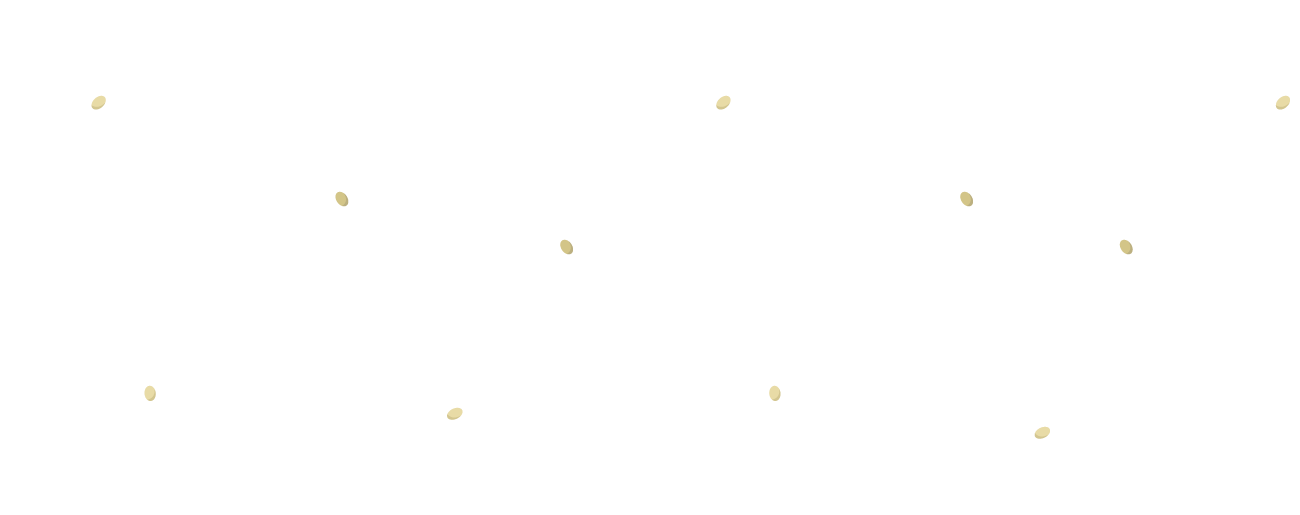 店舗を探す - 地図