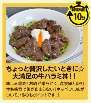 ちょっと贅沢したいときに☆大満足の牛ハラミ丼！！