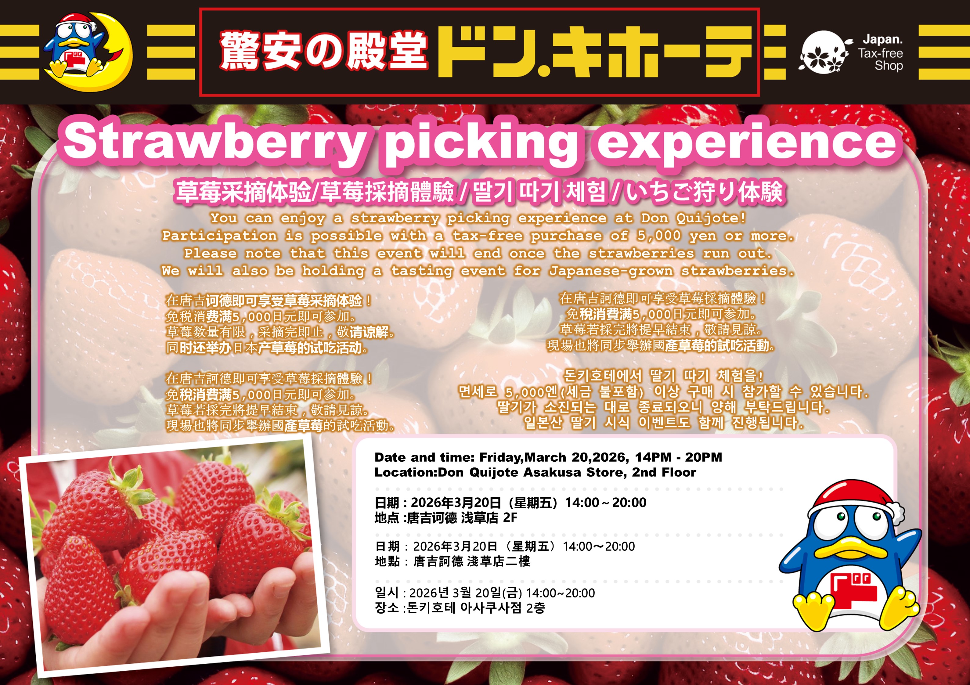 Strawberry picking experience