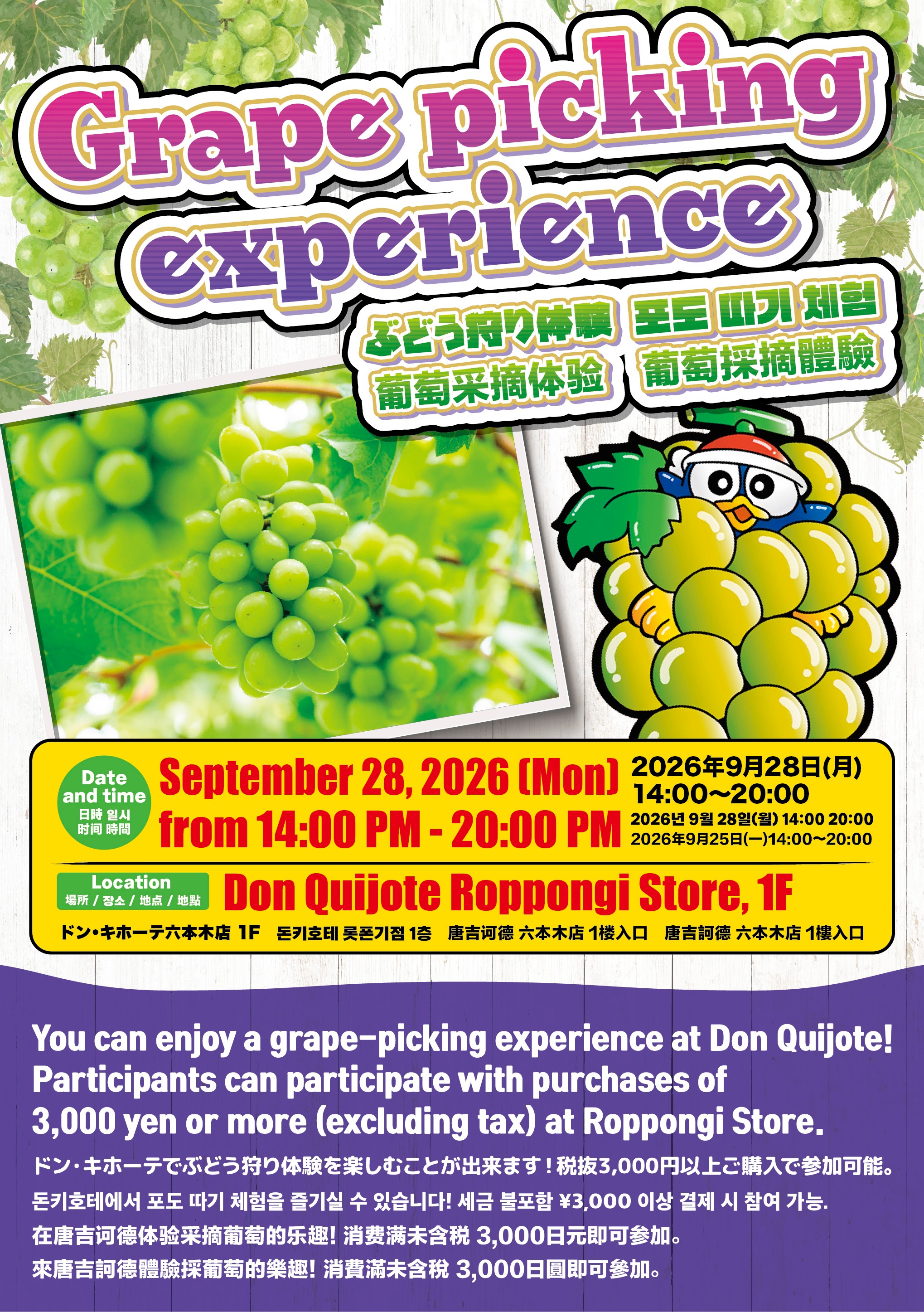Grape picking experience