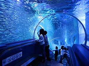 横浜・八景島シーパラダイス