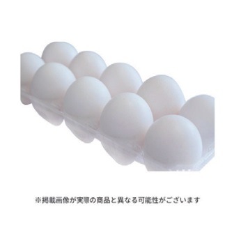 img-coupon-202411-ap