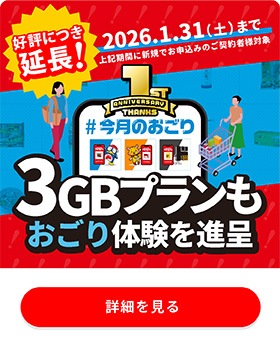 img-everyday-shopping-sp-03