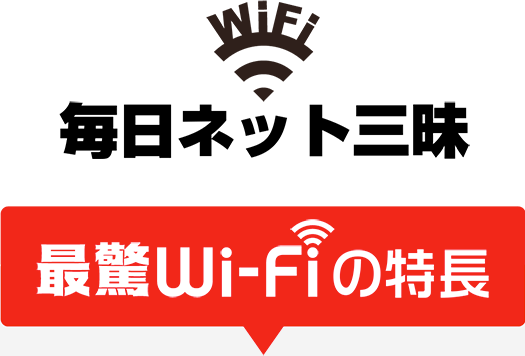 毎日ネット三昧