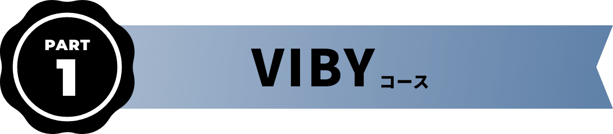 VIBY コース