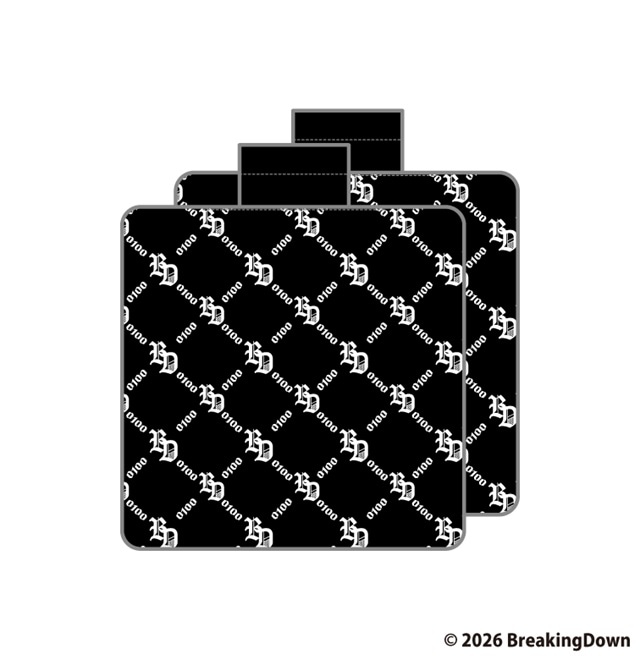 ブレイキングダウン シートクッション（全1種）