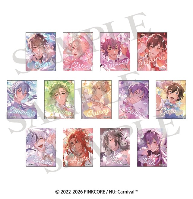 NU:カーニバル プリ風シールセット（全1種）