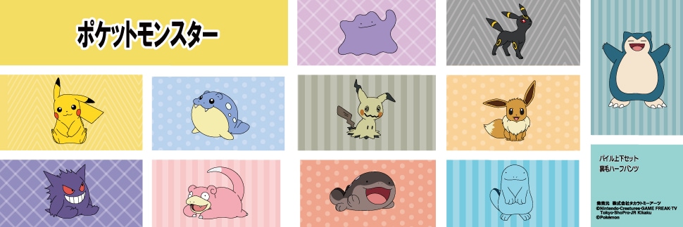 TVアニメ『ポケットモンスター』