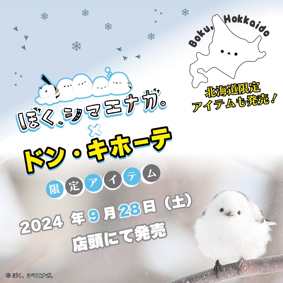 ぼく、シマエナガ。