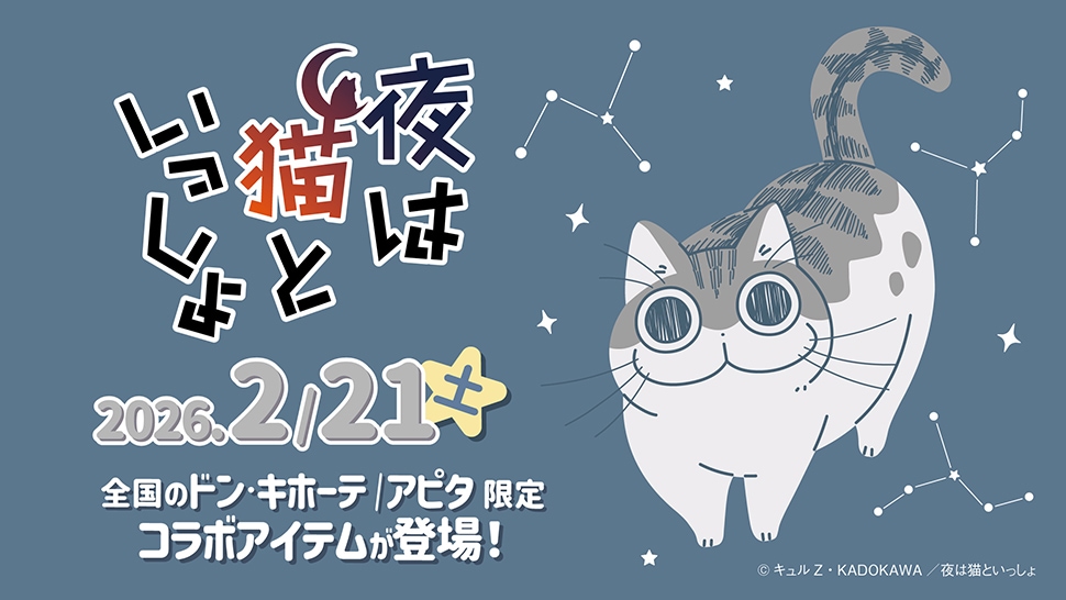 アニメ「夜は猫といっしょ」