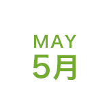 5月