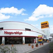 MEGAドン・キホーテ勝田店の店舗情報・駐車場情報