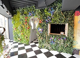 都の国のアリス 店舗イメージ1