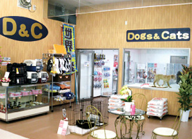 D&C 店舗イメージ1