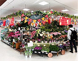 Flower & Green 絵美利亜 店舗イメージ1