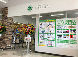 買取専門店WAKABA 店舗イメージ1