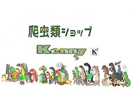 Kenny メガドンキ北鴻巣店 店舗イメージ1