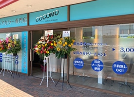 cocomo 店舗イメージ1