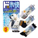 氷快ソックス 5足組