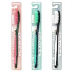 長いヘッドのタイパ歯ブラシ