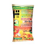 パプリカガーリック　ケトルチップス