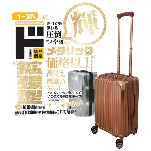 拡張メタリックジッパーキャリー