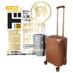拡張メタリックジッパーキャリー