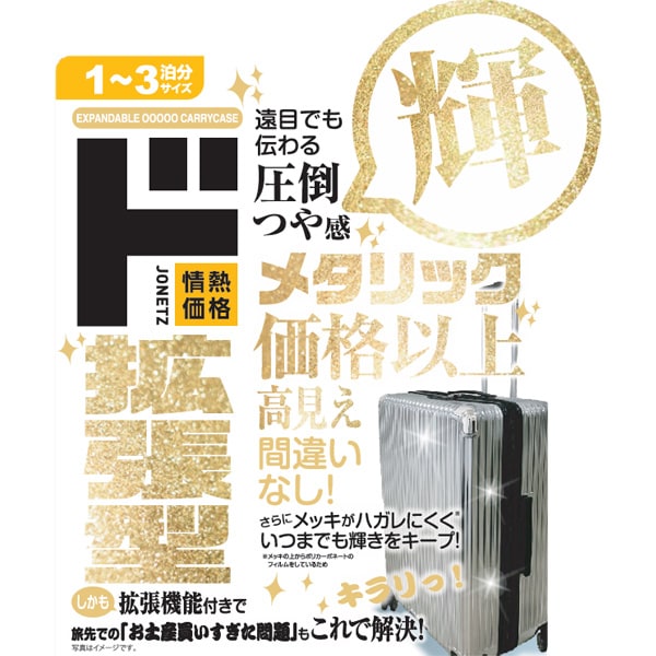 拡張メタリックジッパーキャリー