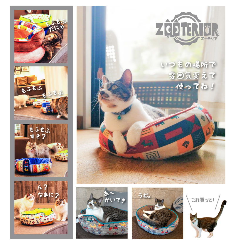 Zooterior ズーテリア 驚安の殿堂 ドン キホーテ Zooterior ズーテリア 驚安の殿堂 ドン キホーテ