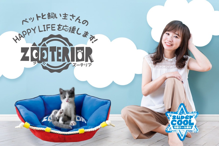 Zooterior ズーテリア 驚安の殿堂 ドン キホーテ Zooterior ズーテリア 驚安の殿堂 ドン キホーテ